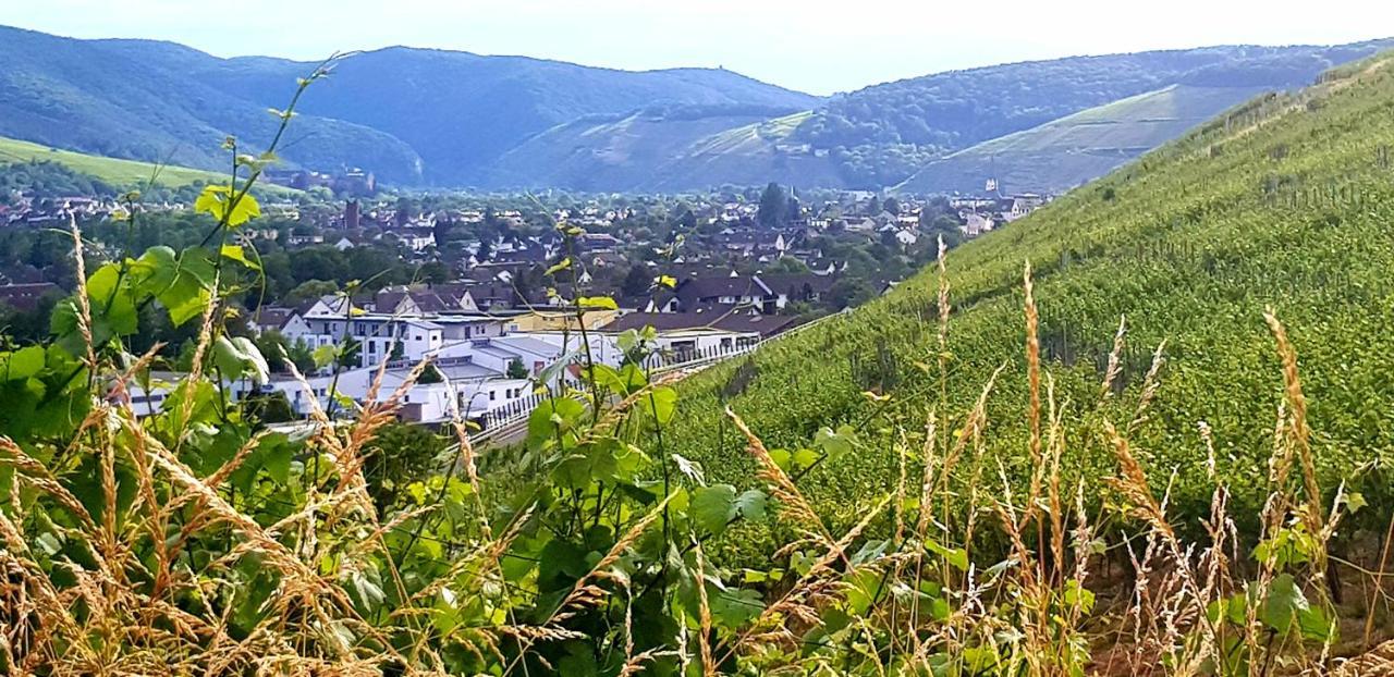 Ahrweiler Seelchen باد نوينهار اهرفيل المظهر الخارجي الصورة