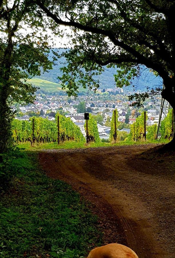 Ahrweiler Seelchen باد نوينهار اهرفيل المظهر الخارجي الصورة